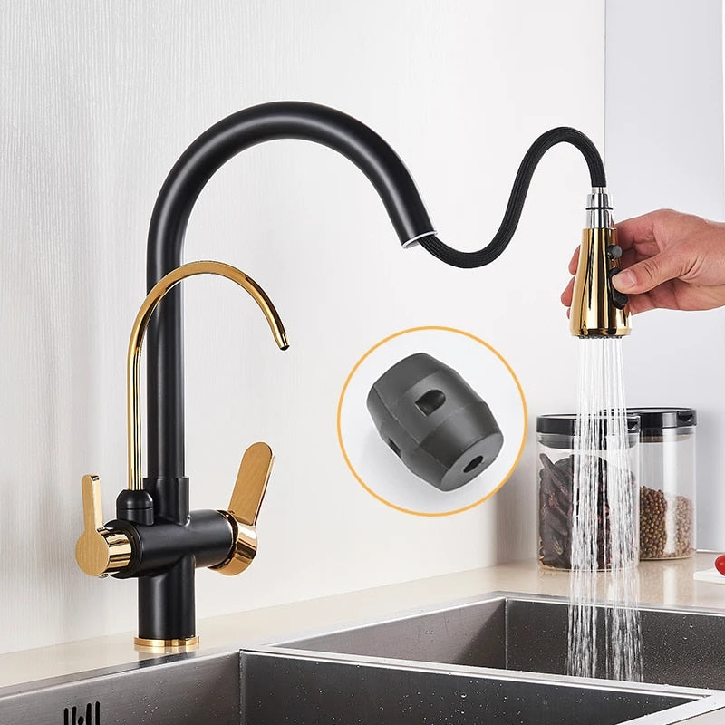 Juno Double Nozzle Filtered Kitchen Removable Sprayer Drinking Water Kitchen Faucet