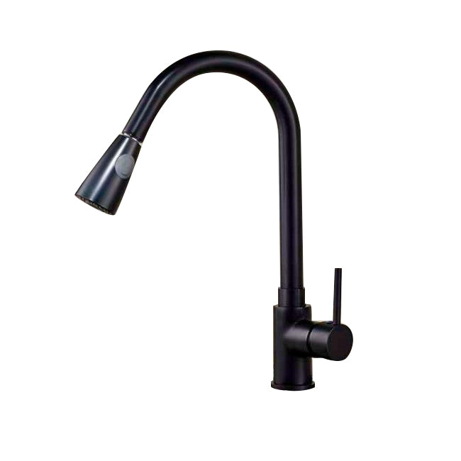 Pull Out Sprayer Single Handle Kitchen Sink Faucet