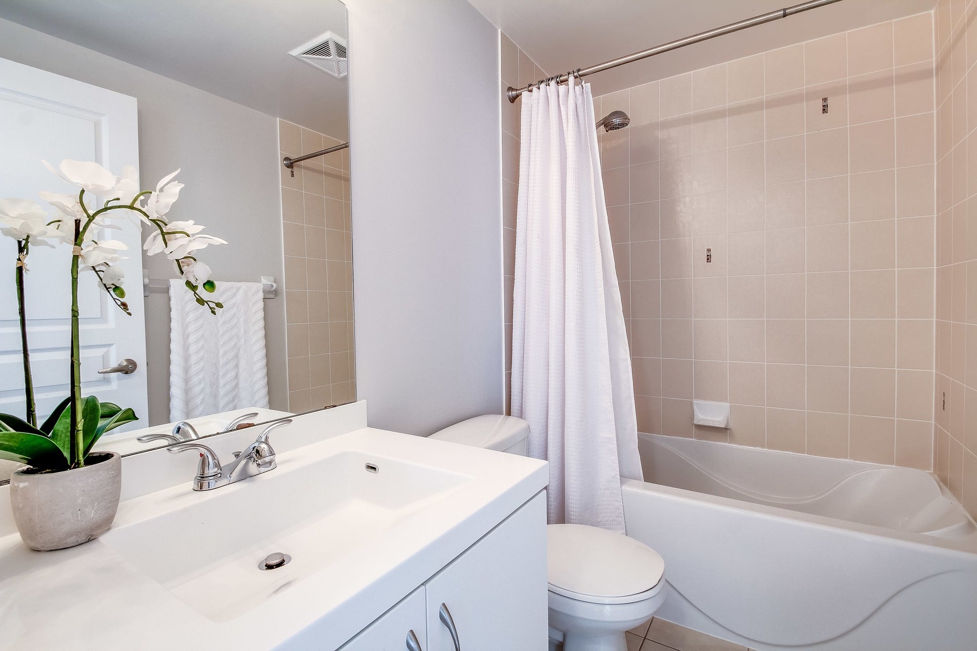 Small Bathroom Design Ideas