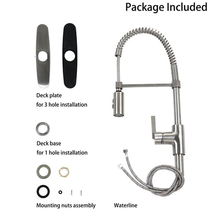 Chieti Kitchen Faucet With Pull-Down Sprayer