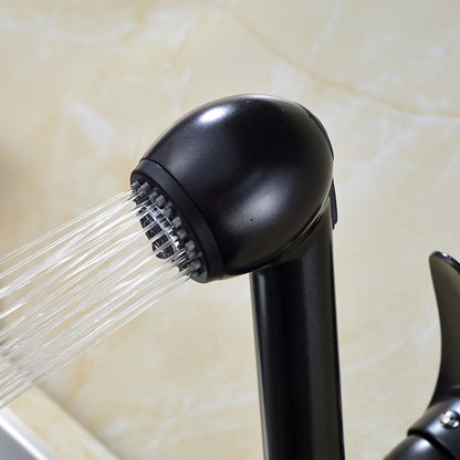 Blackened Pull Out Sprayer Deck Kitchen Sink Faucet 