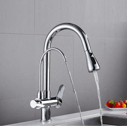 Juno Restaurant Sink Faucet with Spray