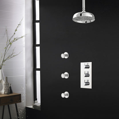 Chrome Shower System