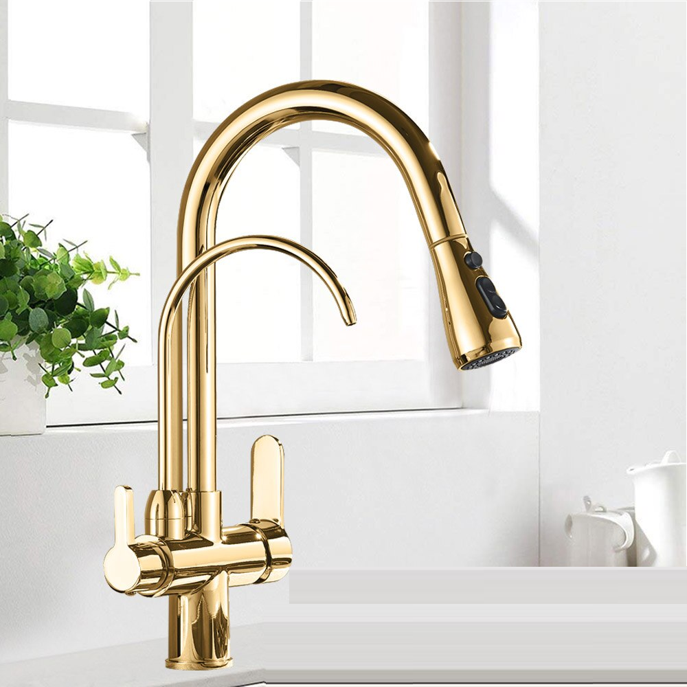 Double Nozzle Filtered Kitchen Removable Sprayer Drinking Water Kitchen Faucet