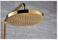 gold plated shower head