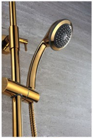 gold plated handheld shower head