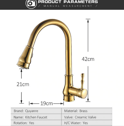 Golden Pull Out Kitchen Faucet Single Level Mixer Tap 2-way Pull Down Sprayer 360 Rotation Kitchen Faucet