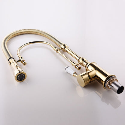 Juno Gold Kitchen Faucet With Sprayer