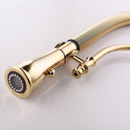 Juno Gold Kitchen Faucet With Sprayer