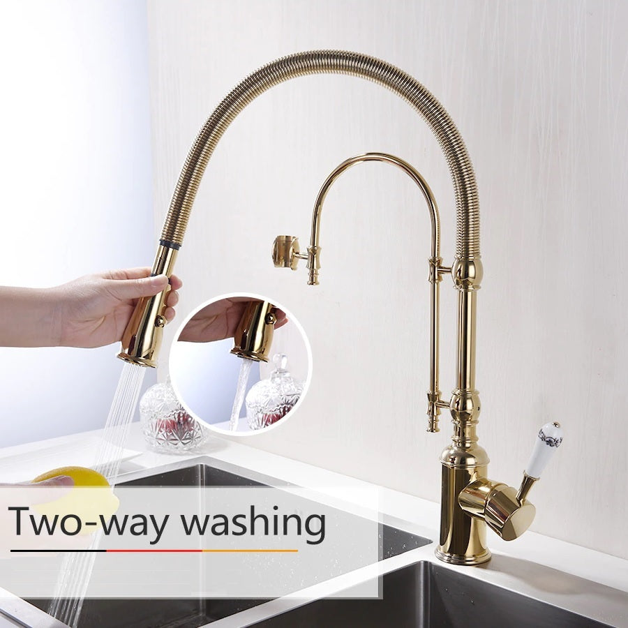 Juno Gold Kitchen Faucet With Sprayer