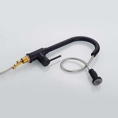 Juno Black Pull Out Shower Mixer Water Tap