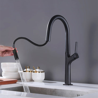 Juno Commercial Matte Black Single Handle Pull Out Kitchen Sink Faucet