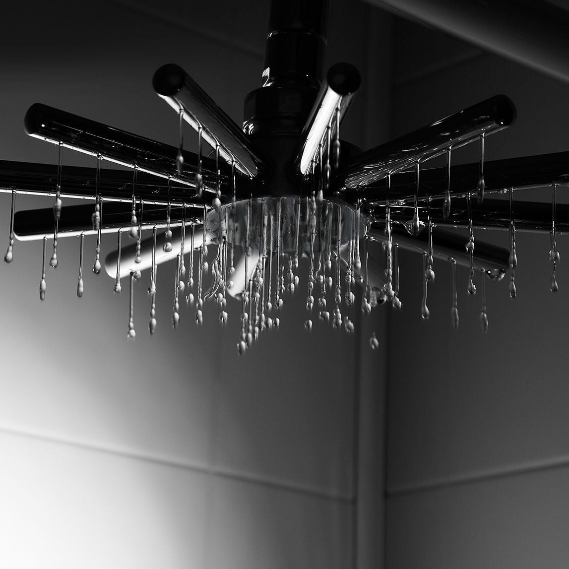 Juno Contemporary Series Rain Shower Head