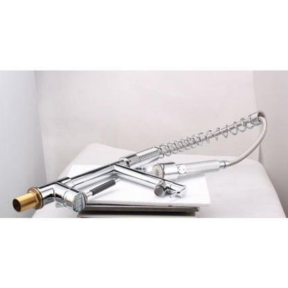 Chrome Finish Brass Body Color Changing LED Pull-Down Kitchen Sprayer 