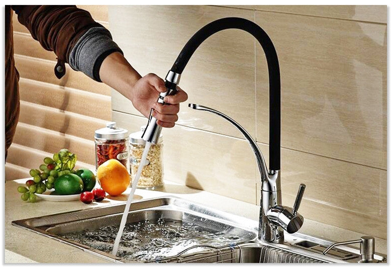 Kitchen Faucet with Dual Sprayer & Black Leather