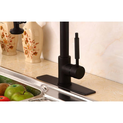 Pistoia Kitchen Sink Faucet With Pull Down Mixer Tap