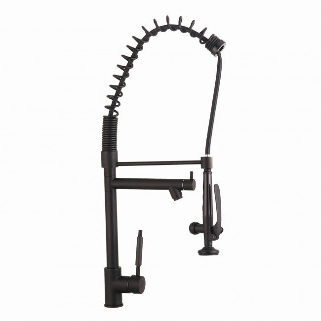 Pistoia Kitchen Sink Faucet With Pull Down Mixer Tap