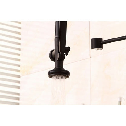 Pistoia Kitchen Sink Faucet With Pull Down Mixer Tap