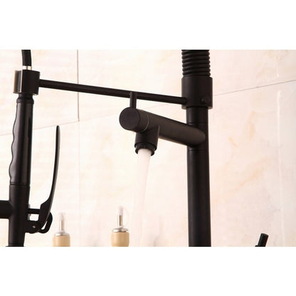 Pistoia Kitchen Sink Faucet With Pull Down Mixer Tap