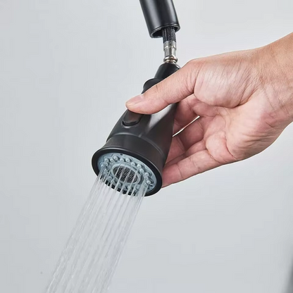 Juno Black Brushed Nickel Pull Down Kitchen Faucet Deck Mount SIngle Handle