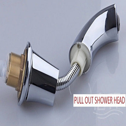 Pullout Shower Head