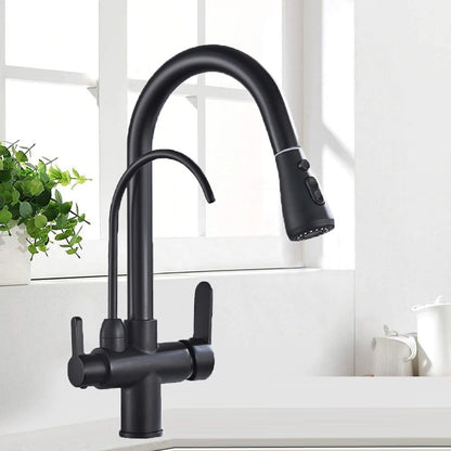 Juno Double Nozzle Filtered Kitchen Removable Sprayer Drinking Water Kitchen Faucet