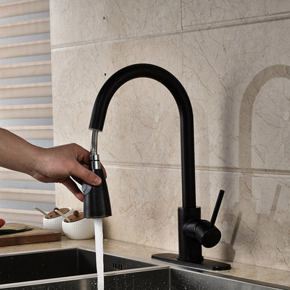 Royal Black Pull Out Single Handle Sprayer Kitchen Faucet
