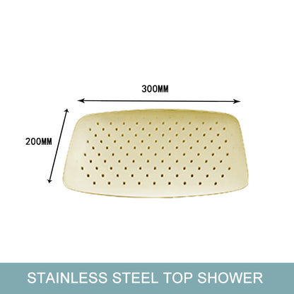 Juno Commercials Ceiling & Wall Mount Brushed Gold Luxury Shower Head & Arm