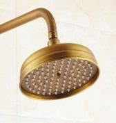 Juno Contemporary Antique Brass Round Showerhead & Handheld Shower with Shower Hose