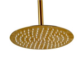 Thin Gold Plated Round Bathroom Shower with Hand-Held Shower