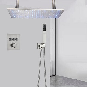 brushed nickel shower head